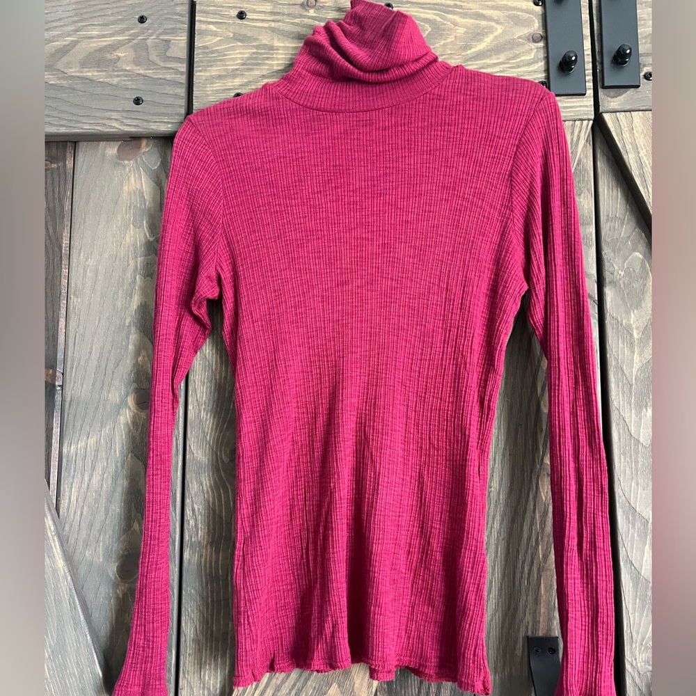 Sundry Ribbed Long Sleeve Turtleneck Top in Deep Red